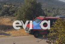 Φωτιά στην Εύβοια στην περιοχή Αλμυροπόταμος – Ισχυρές δυνάμεις στο σημείο
