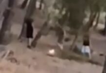 Εντοπίστηκαν οι 13χρονοι που έπαιζαν με τη φωτιά σε δάσος στην Πεντέλη για ένα challenge στα social media