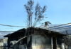 Φωτιά σε δυτική Αττική: Ξεκινούν από σήμερα οι αιτήσεις για αποζημιώσεις στους πυρόπληκτους – Τα ποσά και τα δικαιολογητικά