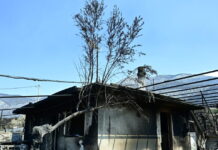 Φωτιά σε δυτική Αττική: Ξεκινούν από σήμερα οι αιτήσεις για αποζημιώσεις στους πυρόπληκτους – Τα ποσά και τα δικαιολογητικά