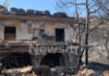 Φωτιά στη Σαλαμίνα: Η αγωνιώδης μάχη ενός ζευγαριού όταν οι φλόγες έφτασαν σπίτι τους – «Χωρίς τα ζώα μου δεν φεύγω»
