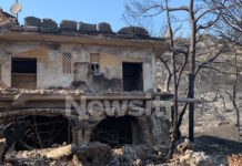 Φωτιά στη Σαλαμίνα: Η αγωνιώδης μάχη ενός ζευγαριού όταν οι φλόγες έφτασαν σπίτι τους – «Χωρίς τα ζώα μου δεν φεύγω»
