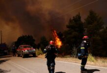 Φωτιά σε Βοιωτία και Αττική: Σκληρή μάχη με τις διάσπαρτες εστίες – Αντιπυρικές για να σωθούν οικισμοί και σπίτια, live όλες οι εξελίξεις
