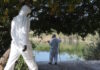 Ιός του Δυτικού Νείλου: 75 νέα κρούσματα την τελευταία εβδομάδα, στους 19 οι θάνατοι – «Μέχρι μέσα Σεπτεμβρίου θα έχουμε αρκετά», λέει ο Βασιλακόπουλος