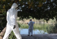 Ιός του Δυτικού Νείλου: 75 νέα κρούσματα την τελευταία εβδομάδα, στους 19 οι θάνατοι – «Μέχρι μέσα Σεπτεμβρίου θα έχουμε αρκετά», λέει ο Βασιλακόπουλος