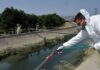 Ιός του Δυτικού Νείλου: Οι τρεις περιοχές στην Αττική όπου βρίσκεται σε έξαρση – «Θα αυξηθούν τα βαριά κρούσματα μέχρι τέλος Οκτωβρίου»