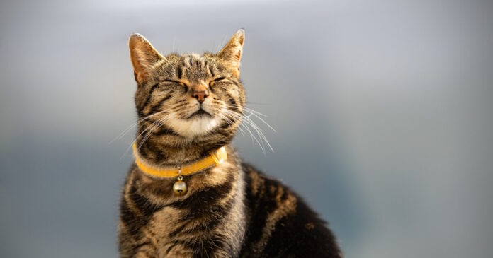 istock-2211478033-1200x630.jpg