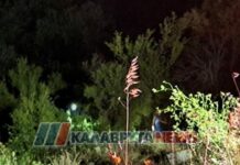Τροχαίο δυστύχημα στην Αχαία: Νεκρή 46χρονη που έπεσε σε γκρεμό