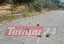 Καταδίωξη από την Κόρινθο έως το Αντίρριο: Ταυτοποιήθηκε 38χρονος Βούλγαρος για κακούργημα