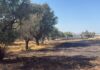 Οριοθετήθηκε η φωτιά στο Κορωπί – Μήνυμα του 112 για ετοιμότητα