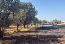Οριοθετήθηκε η φωτιά στο Κορωπί – Μήνυμα του 112 για ετοιμότητα