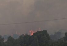 Φωτιά στον Κουβαρά Αττικής: Μήνυμα του 112 για εκκένωση του Αγίου Στυλιανού προς Καλύβια – Διακοπή κυκλοφορίας στη Λεωφόρο Λαυρίου