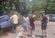 Τροχαίο στον δρόμο προς Μπράλο – Αγροτικό «έφυγε» από την πορεία του και «κατέβασε» δύο δέντρα