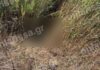 Λάρισα: Νεκρή εντοπίστηκε η 72χρονη που είχε χαθεί από τις 3 Αυγούστου – Την βρήκαν μέσα σε τάφρο κοντά στο σπίτι της