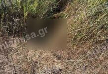 Λάρισα: Νεκρή εντοπίστηκε η 72χρονη που είχε χαθεί από τις 3 Αυγούστου – Την βρήκαν μέσα σε τάφρο κοντά στο σπίτι της