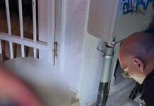 Θεσσαλονίκη: Ελεύθερη η 25χρονη που μαχαιρώθηκε από 31χρονο – «Μου επιτέθηκε με δύο μαχαίρια» είπε στην απολογία της