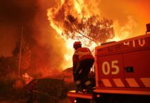 ΕΕΔΑΔΠ-Servicers: Αυτά είναι τα μέτρα ανακούφιση που λαμβάνονται για τους πληγέντες από τις πυρκαγιές