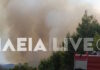 Φωτιά στο Μουζάκι Ηλείας – Μεγάλη κινητοποίηση της Πυροσβεστικής