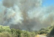 Φωτιά στο Νεοχώρι Μεσσηνίας – Επιχειρούν εναέρια μέσα