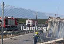 Λαμία: Φορτηγό «λαμπάδιασε» στη μέση της Εθνικής Οδού – Κάηκε ολοσχερώς