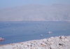 Χτυπήθηκε δεξαμενόπλοιο του Θεόδωρου Αγγελόπουλου στα Στενά του Ορμούζ