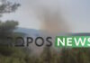 Φωτιά στον Ωρωπό στην περιοχή Μαρκόπουλο: Μηνύματα του 112 – Ρίψεις νερού από 6 εναέρια μέσα