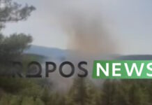 Φωτιά στον Ωρωπό στην περιοχή Μαρκόπουλο: Μηνύματα του 112 – Ρίψεις νερού από 6 εναέρια μέσα