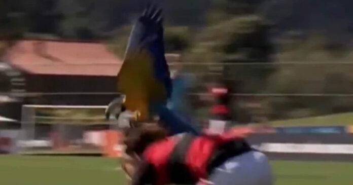 papagalos-flamengo-1200x630.jpg