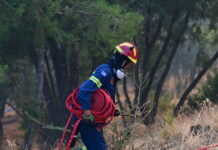 Φωτιά στη Βοιωτία: Στο νοσοκομείο δύο πυροσβέστες που επιχειρούσαν στα πύρινα μέτωπα
