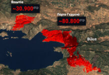 Φωτιές σε Αττική και Βοιωτία: Πάνω από 111.000 στρέμματα έγιναν στάχτη – Αποκαλυπτική δορυφορική εικόνα