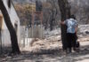 Φωτιά στο Πόρτο Γερμενό: «Αυτό το δάσος δεν θα ζήσουμε να το ξαναδούμε» – Σπαρακτική επιστροφή των πυρόπληκτων