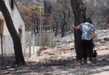 Φωτιά στο Πόρτο Γερμενό: «Αυτό το δάσος δεν θα ζήσουμε να το ξαναδούμε» – Σπαρακτική επιστροφή των πυρόπληκτων