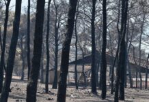 Πόρτο Γερμενό: Αποκαρδιωτικές εικόνες αποκαλύπτουν το μέγεθος της καταστροφής από τη φωτιά