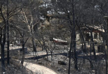 Βελτιωμένη η εικόνα στη φωτιά στη Δυτική Αττική: Φόβοι για αναζωπυρώσεις – «30 ώρες δεν είχαμε εναέρια μέσα»