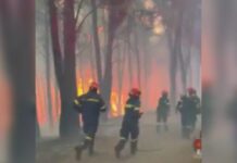 Συγκλονιστικό βίντεο από τα πύρινα μέτωπα: Πυροσβέστες επιχειρούν περικυκλωμένοι από τη φωτιά