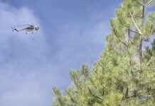 Φωτιές: Σε «κίτρινο συναγερμό» για κίνδυνο πυρκαγιάς την Τρίτη 35 περιοχές της χώρας