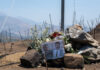 Φωτιά στο Ρέθυμνο: Ελεύθερος με περιοριστικούς όρους ο υπάλληλος του ΔΕΔΔΗΕ