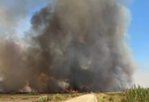 Φωτιά στη Ροδόπη στην περιοχή Ίμερος: Μήνυμα του 112 για εκκένωση Προφήτη Ηλία και Αμπελάκια