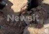 Μύκονος: Βίντεο με τους αστυνομικούς να εντοπίζουν την τσάντα Hermès και το Rolex που άρπαξε Έλληνας οδηγός από Ουκρανό τουρίστα