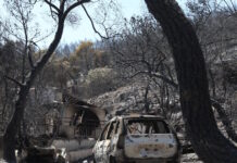 Φωτιά στην Σαλαμίνα: Προσαγωγή ύποπτης για εμπρησμό – Καταγγελίες για ακαθάριστα οικόπεδα και «χωματερές» στο νησί