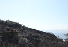 Σαλαμίνα: Από αμέλεια ηλικιωμένης η φωτιά στα Περιστέρια, μαρτυρία για εμπρησμό για την πυρκαγιά στα Σελίνια
