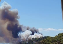 Φωτιά στη Σαλαμίνα: Διπλό πύρινο μέτωπο, κοντά σε σπίτια οι φλόγες – Μήνυμα του 112 για 6 περιοχές και εκκένωση διά θαλάσσης από Σελήνια και Κακή Βίγλα