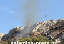 Φωτιά στην Σαλαμίνα: Πραγματοποιούνται ρίψεις νερού από 2 ελικόπτερα
