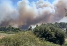 Μεγάλη φωτιά στη Σίβηρη Χαλκιδικής: Μηνύματα 112 για εκκενώσεις 2 περιοχών – 3 χιλιόμετρα το πύρινο μέτωπο