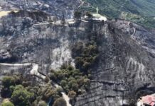 Φωτιά στη Φωκίδα: Συγκλονιστικές εικόνες από drone με τις καταστροφές στο Σκάλωμα