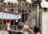 Μάχη για να σωθούν όσο περισσότερα αδέσποτα ζώα από τις πυρόπληκτες ζώνες της Αττικοβοιωτίας