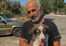 Ένα μικρό «θαύμα» μέσα στις φλόγες στο Πόρτο Γερμενό: Ο Μπρούνο το κουτάβι που σώθηκε από τον Μάρκο – «Χτυπά ακόμα γρήγορα η καρδιά του»