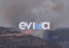 Φωτιά στη Σκύρο – Ισχυρές δυνάμεις της Πυροσβεστικής