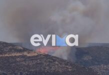 Φωτιά στη Σκύρο – Ισχυρές δυνάμεις της Πυροσβεστικής