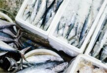 Θαλασσινά: Σε ποια θα αυξηθούν οι τιμές και σε ποια θα μειωθούν – Πότε θα γίνει αυτό και γιατί